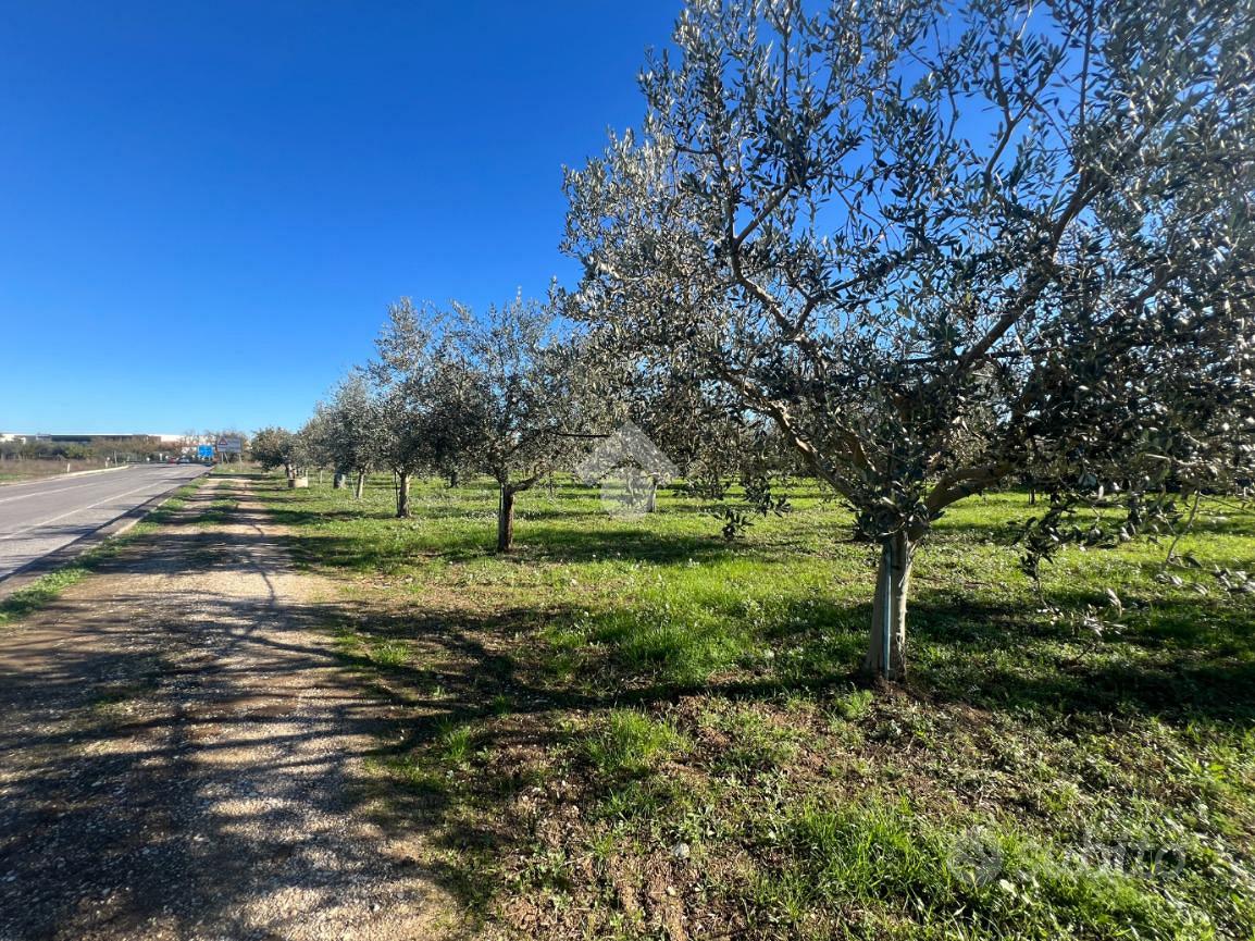 TER. AGRICOLO A MOSCIANO SANT'ANGELO - Vista 5