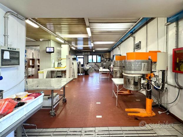 LABORATORIO A CITTADELLA