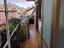 Immagine 14