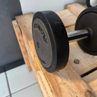 Manubrio singolo 6 kg Technogym