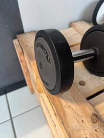 Manubrio singolo 6 kg Technogym