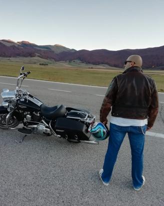 Harley-Davidson Touring Road King - 2006