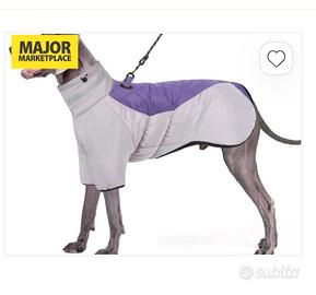 capotto caldo per cani