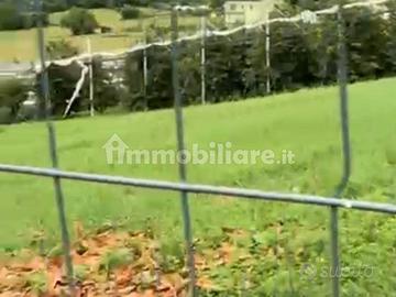 Terreno agricolo in fraz.Madrano - Pergine Valsuga