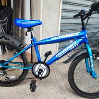 Mountain-bike Hornet da bambino