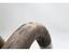 Immagine 10