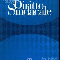 Diritto sindacale,Giugni