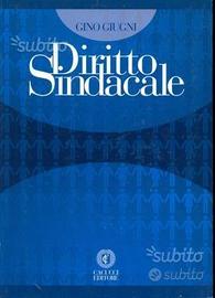 Diritto sindacale,Giugni