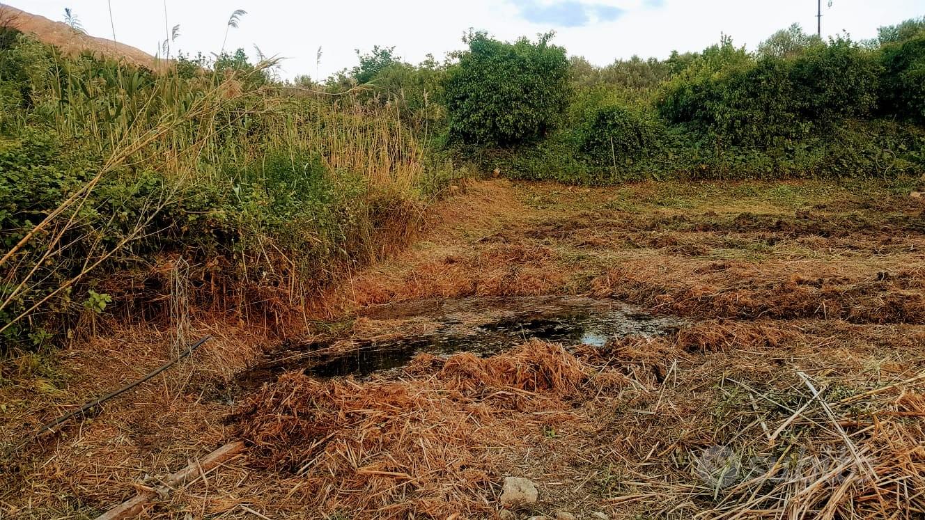 Terreno agricolo - Vista 2