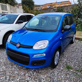 fiat pandina