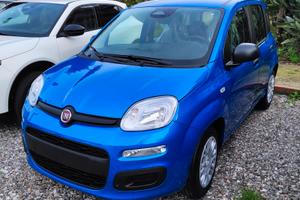 fiat pandina