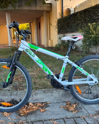 Montanbike ragazzo 24”