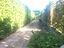 Immagine 6