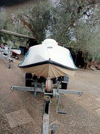 SeaKart Evinrude 25 hp carrello omologato 