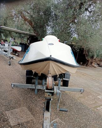 SeaKart Evinrude 25 hp carrello omologato 