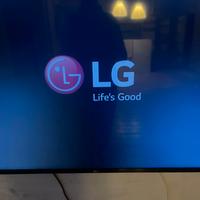 Tv LG 65 pollici con decoder