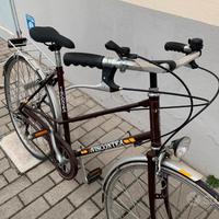 Bicicletta Viscontea ruote 28 pollici