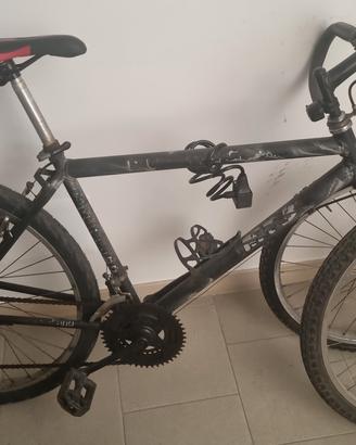 Bicicletta per uomo o donna