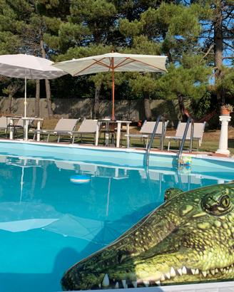 Casa vacanze tra S. Gimignano e Volterra