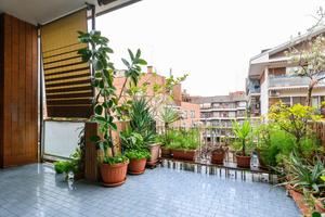 3 LOCALI A ROMA