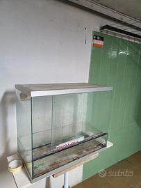 Terrario per rettili di media taglia