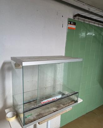 Terrario per rettili di media taglia