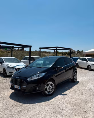 Ford Fiesta 1.5 TDCi 75CV 5 porte Black & White Ed