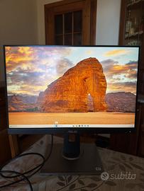Monitor Computer ASUS ProArt PA248QV