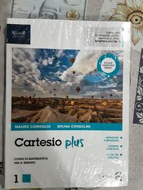 libro per il biennio di matematica cartesio plus