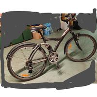 Bicicletta MTB City bike donna