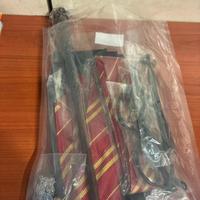 Set travestimento harry potter