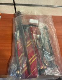 Set travestimento harry potter