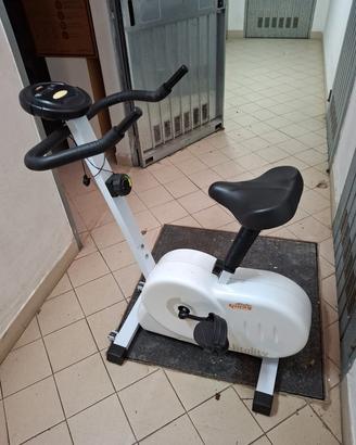 Bici da camera 