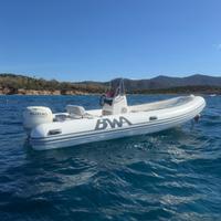 Bwa 5,50 metri, Suzuki 40/60 4 tempi