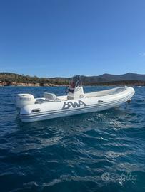 Bwa 5,50 metri, Suzuki 40/60 4 tempi