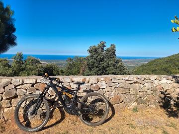 Specialized kenevo expert + extender