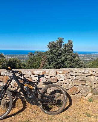 Specialized kenevo expert + extender