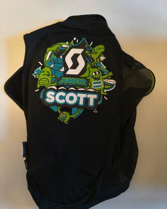 Paraschiena sci bimbo