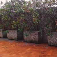 Vasconi fiori in granito