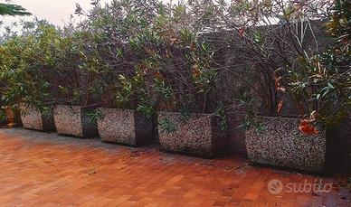 Vasconi fiori in granito