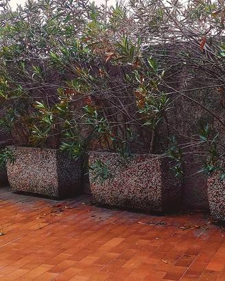 Vasconi fiori in granito