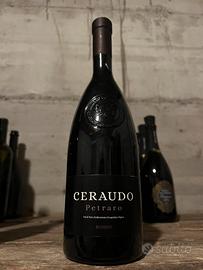 Vino rosso bottiglia champagne