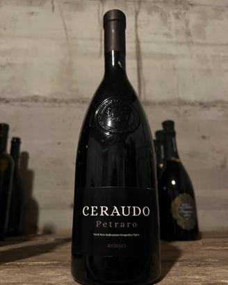 Vino rosso bottiglia champagne