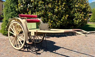 Carrozze per Cavalli modello carro agricolo