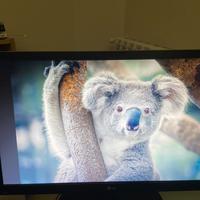 PC fisso buono per uso base / ufficio + schermo LG