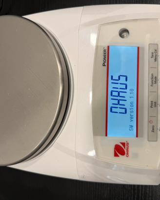 Bilancia Oro e preziosi Ohaus