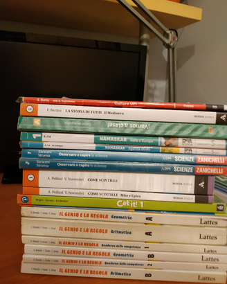 Libri scuola media