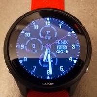 Garmin Forerunner 255
