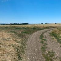 Seminativo Irriguo + Bosco 9 ha Rif.0856