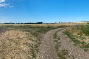 Seminativo Irriguo + Bosco 9 ha Rif.0856